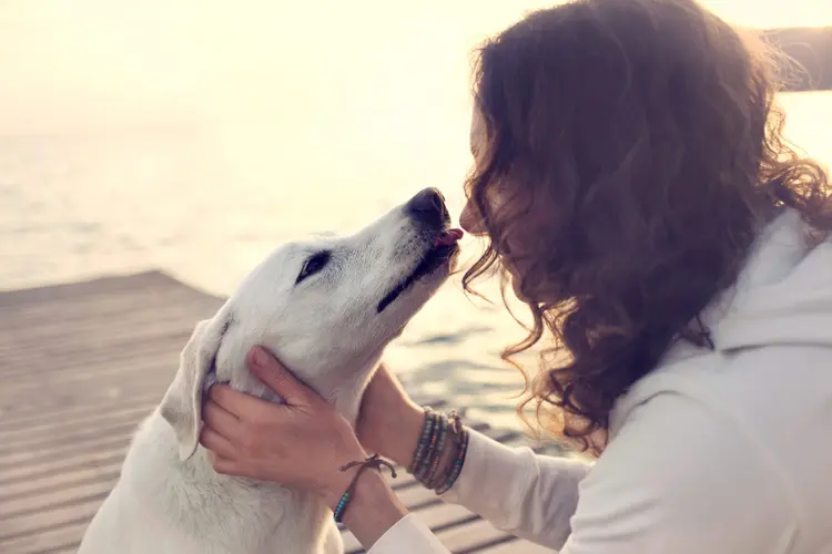 Animal de estimação: para psicóloga, algumas pessoas têm medo de cães porque não conviveram com eles ou por algum trauma no passado (fcscafeine/Thinkstock)