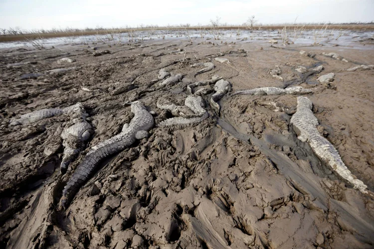 SECA: Paraguai começa a sentir os efeitos do El Niño e mudança no clima pode afetar a economia / Jorge Adorno/Reuters