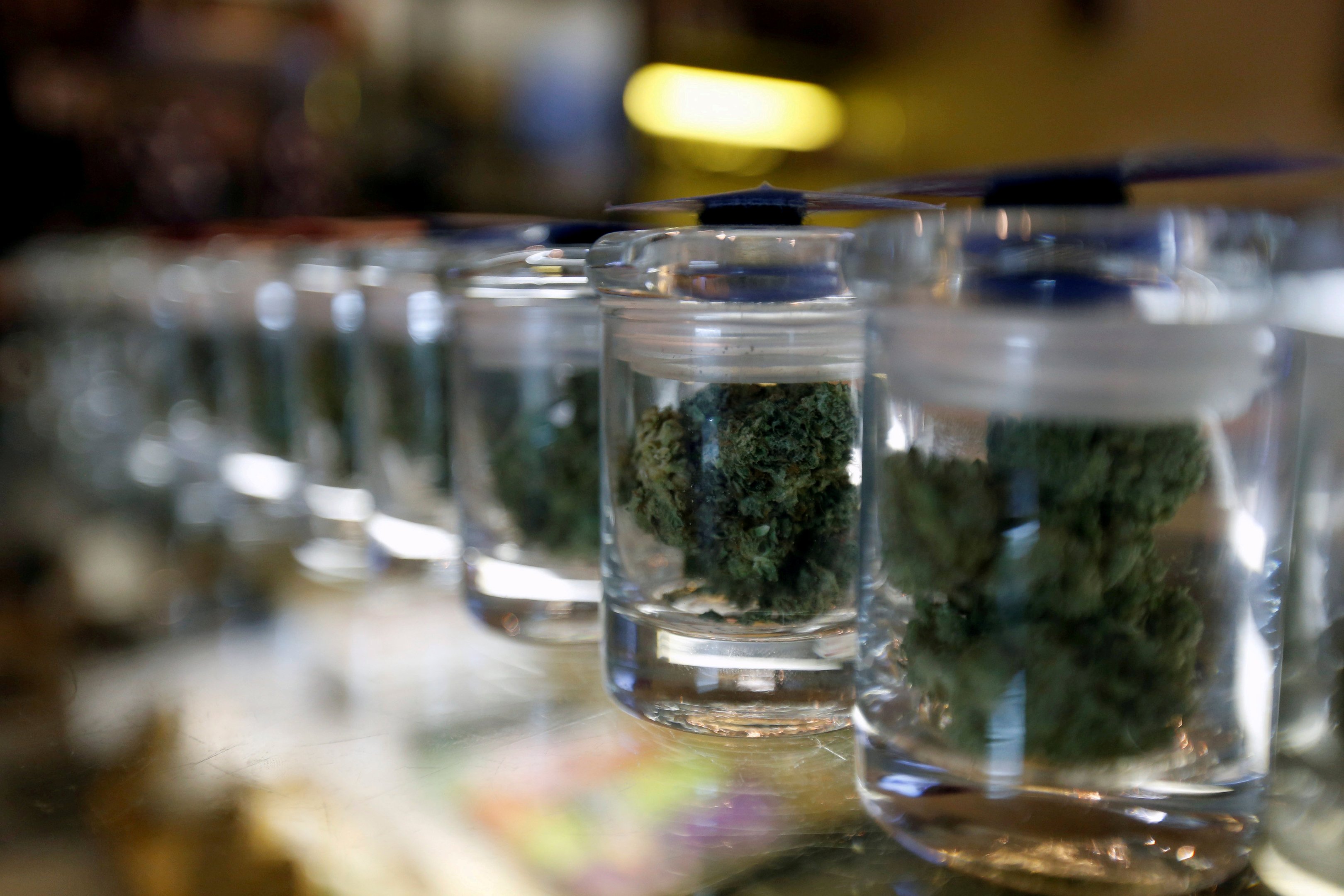 EUA: porte de maconha em debate