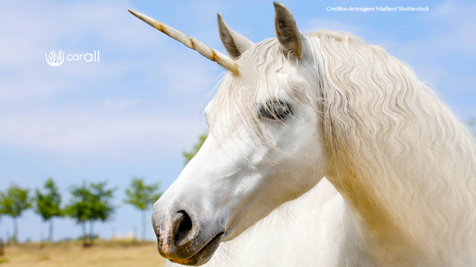 Transformando Cavalos em Unicórnios