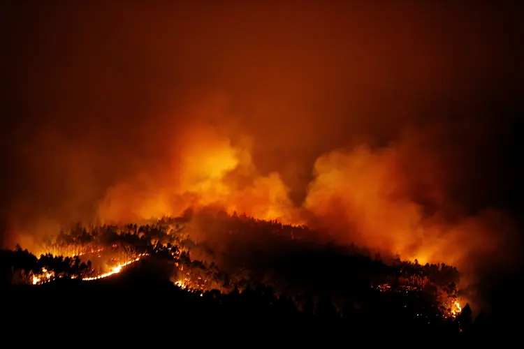 Incêndio em floresta de Portugal (foto/Reuters)