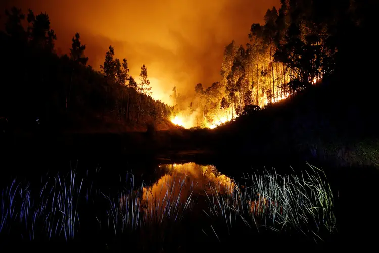 Floresta pega fogo perto de Bouca, em Portugal (REUTERS/Rafael Marchante/Reuters)