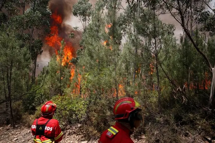 Bombeiros tentam conter fogo: as chamas se estenderam aos distritos de Coimbra e Castelo Branco (Rafael Marchante/Reuters)