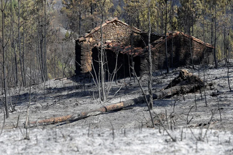 Incêndio em Portugal: bombeiros que trabalham em Góis se mostraram otimistas no combate às chamas (Miguel Vidal/Reuters)