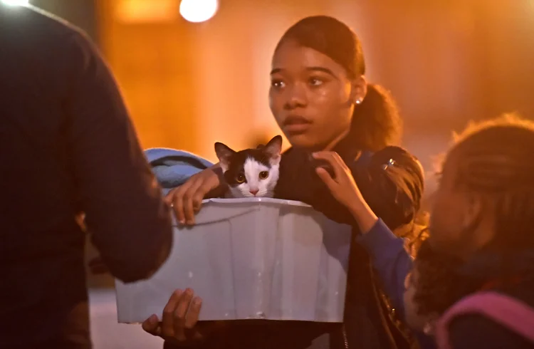 Mulher leva seu gato após ser evacuada de prédio em Londres, dia 23/06/2017 (Hannah McKay/Reuters)