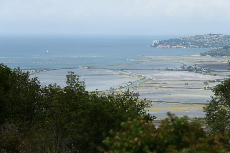 Croácia insistia para que a Baía de Pirán - situada no Golfo de Trieste - fosse dividida pela metade (Antonio Bronic/Reuters)