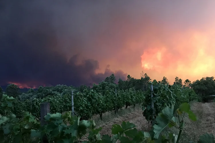 Portugal: quase 2 mil bombeiros continuam combatendo o fogo (foto/Reuters)