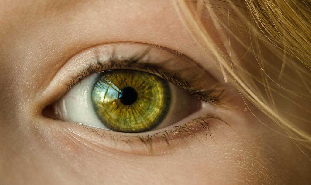 Olho: Nove dos 127 pacientes pesquisados tiveram nódulos nos olhos (Creative Commons/https://pixabay.com/pt/olho-olho-verde-close-up-macro-1132531/)