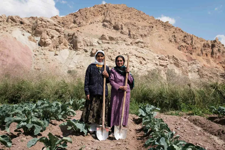 AGRICULTORAS NA PROVÍNCIA DE BAMIAN: a diversificação de cultura está mudando rotinas e simboliza uma esperança para todo o Afeganistão  / Adam Ferguson/The New York Times