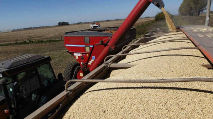 AGRICULTURA: com boa safra e ambiente favorável em outras frentes, o IPCA acumulado em 12 meses poderia chegar a 4% em agosto deste ano (Enrique Marcarian/Reuters)