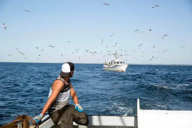 PESCA NA COSTA AMERICANA: distribuidores estão usando tecnologia para rastrear o caminho dos de atuns, bonitos e cavalas  / Kieran Kesner/The New York Times