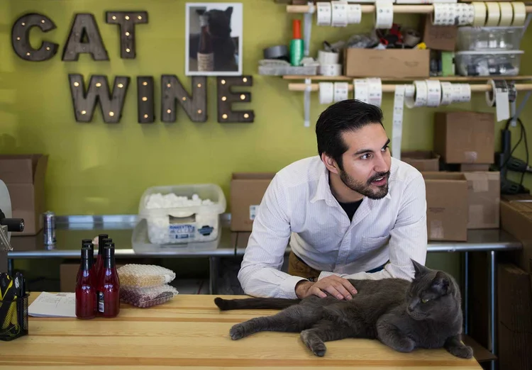 VINHO PARA GATOS: Brandon Zavala, da Apollo Peak, com seu felino na sede da startup, em Denver  / Nick Cote/ The New York Times