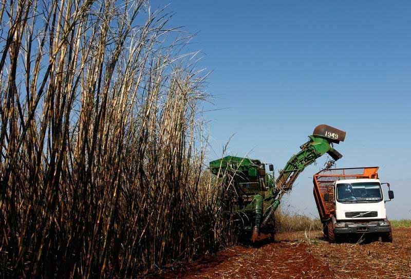 China reduz tarifa para açúcar e Brasil pode ampliar exportações