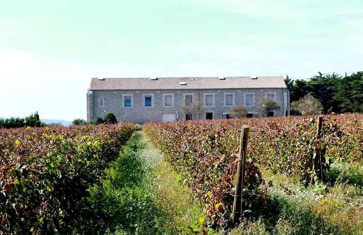 DOMAINE DU CHAPITRE: localizado na região do Languedoc-Roussillon, propriedade tem 35 hectares de vinhas do tipo grenache e syrah / Mariana Prado Zanon