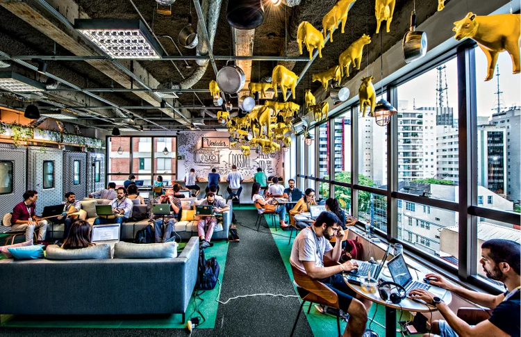 Google Campus, em São Paulo: uma das demandas do Movimento Brasil Digital é promover o empreendedorismo no país (Germano Lüders/Exame)