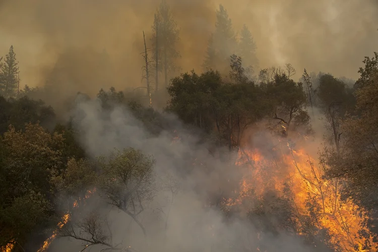 INCÊNDIO NOS EUA: se Donald Trump de fato abrir mão do virtuoso mercado de baixo carbono, não faltam interessados em ocupar o espaço / David McNew/Getty Images