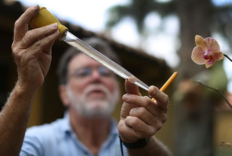 PREVENÇÃO AO ZIKA NA FLÓRIDA: um provável surto de Zika na América do Sul será campo de testes ideal para uma vacina  / Joe Raedle/ Getty Images