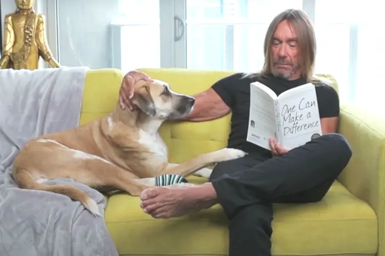 O cantor Iggy Pop em campanha para a Peta: a favor dos animais (Peta/Divulgação)