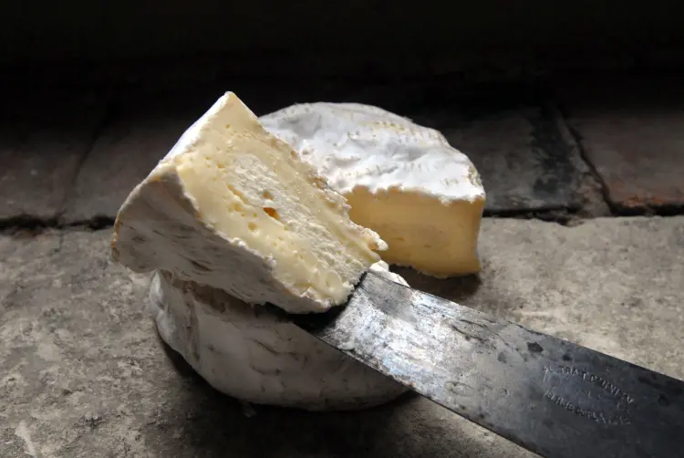 Camembert: em 2007 houve uma guerra de queijos na França (Alastair Miller/Bloomberg)