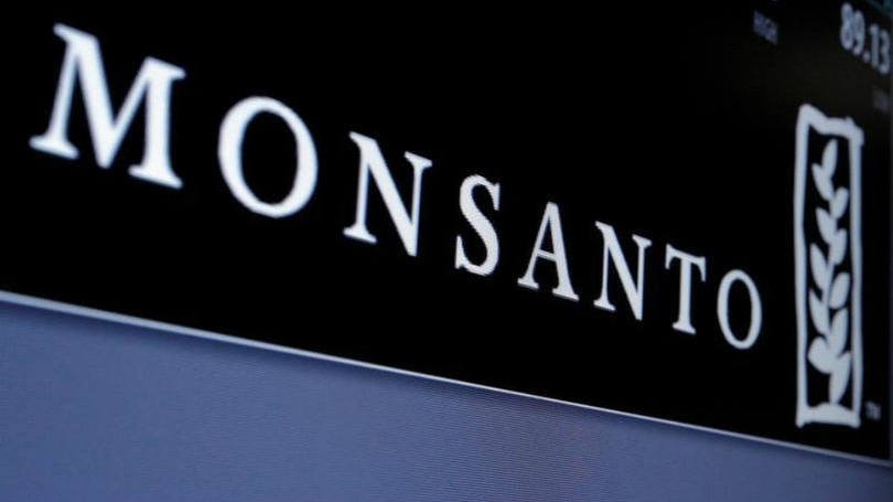 Monsanto defenderá patente da Intacta no Brasil, dizem advogados