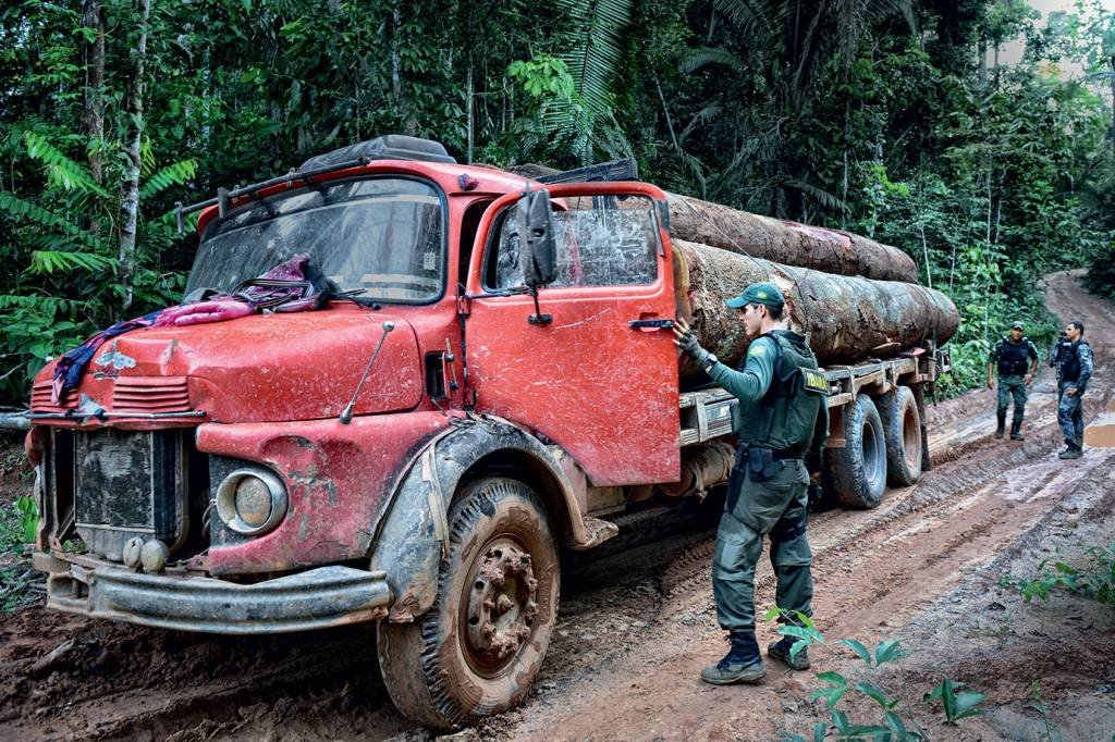 Fiscalização em Rondônia: exploração ilegal de madeira na Floresta Nacional do Jamari (Henrique Donadio/Exame)