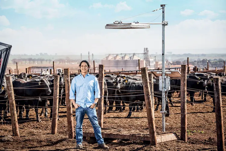 Carne forte: na fazenda de Pedro Merola, o lucro cresceu 20% graças a sensores que pesam o gado (Francois Calil/Exame)