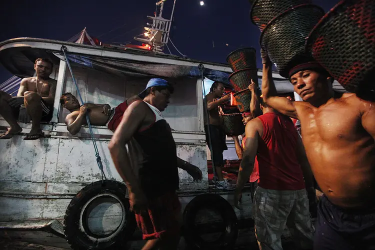 O BRASIL PROFUNDO: pode o Brasil florescer sem cortar seus males (e suas virtudes) pela raiz? / Mario Tama/Getty Images