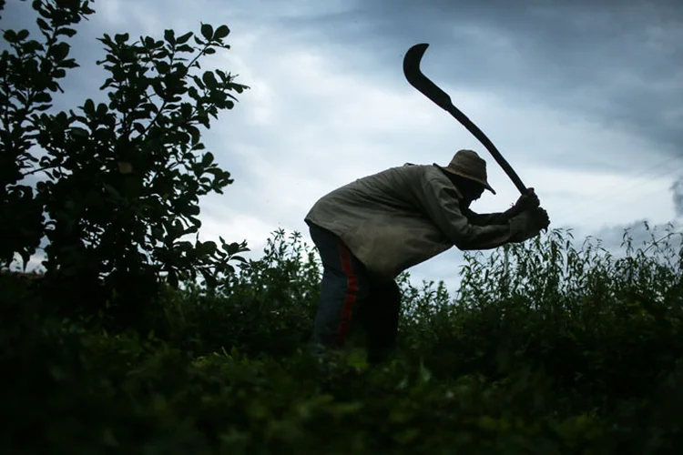 Trabalhador rural: eles estão instalados no Anexo 2 da Câmara e sendo acompanhados por uma equipe de apoio (Mario Tama/Getty Images)