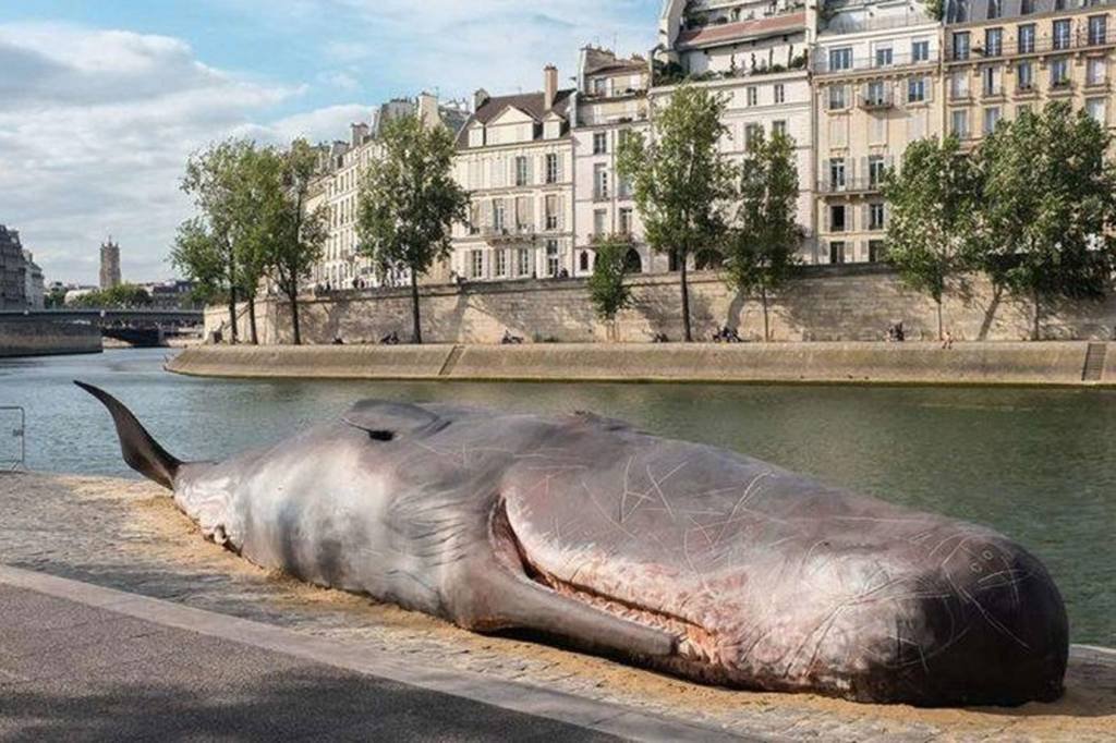 Ação coloca baleia encalhada às margens do Rio Sena