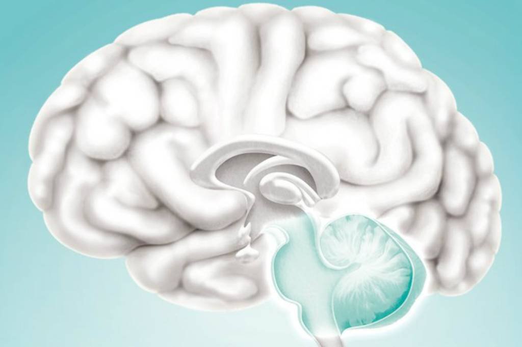 Cérebro humano: exercício físico, boa alimentação, estudar e ler fortalecem a memória (Divulgação/Superinteressante)