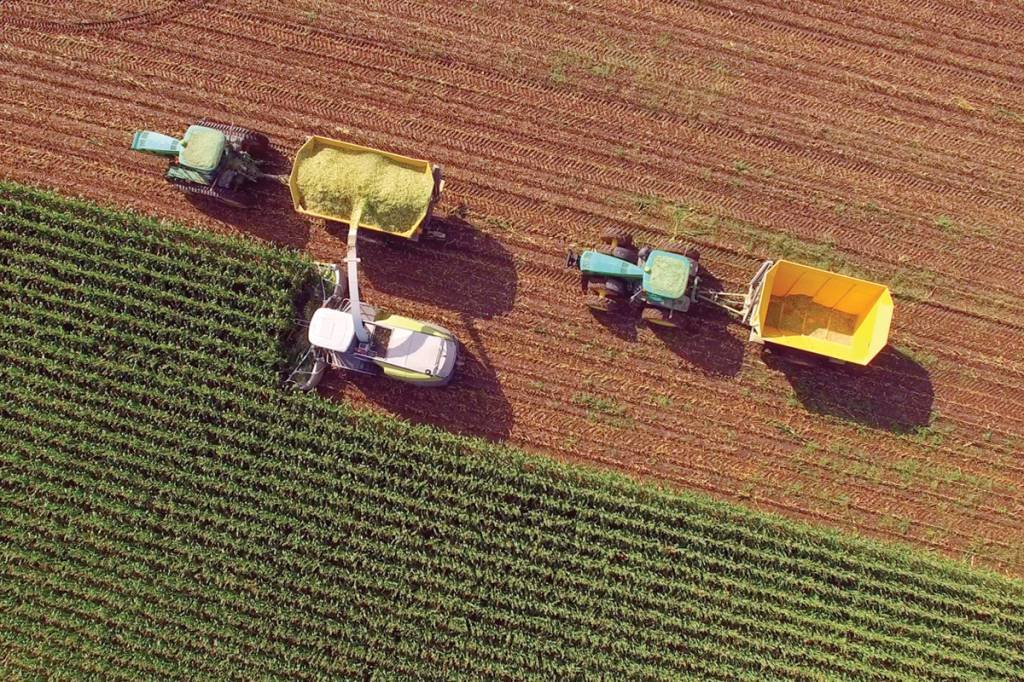 Commodities agrícolas: entram na lista produtos associadas ao agronegócio, como soja, café e milho (James Brey/Getty Images)