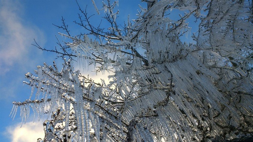 FOTOS: Onda de frio traz neve ao Sul; temperaturas desabam em SP