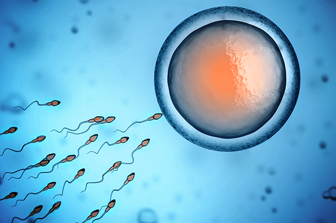Redução da fertilidade dos homens pode causar fim da humanidade