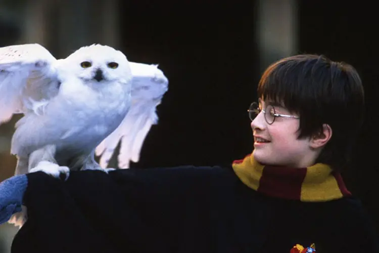 O dia 26 de junho marcou o aniversário de 20 anos do lançamento de "Harry Potter e a Pedra Filosofal", o primeiro dos sete livros da saga (Harry Potter/Divulgação)