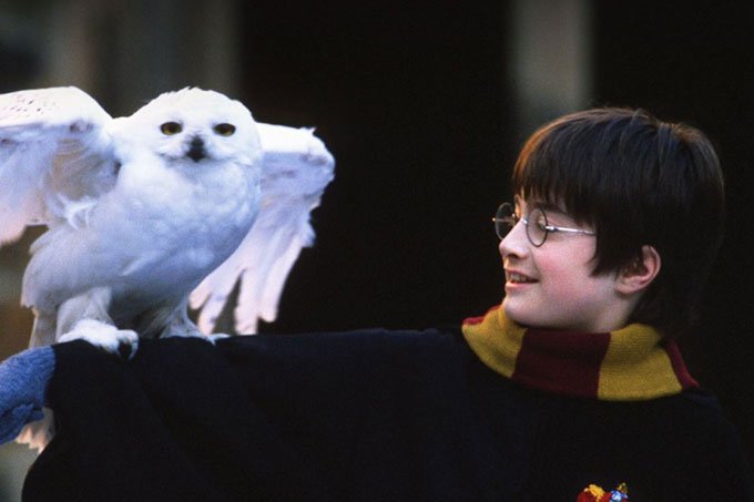 O dia 26 de junho marcou o aniversário de 20 anos do lançamento de "Harry Potter e a Pedra Filosofal", o primeiro dos sete livros da saga (Harry Potter/Divulgação)