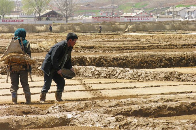 Pior seca em 16 anos ameaça alimentos na Coreia do Norte