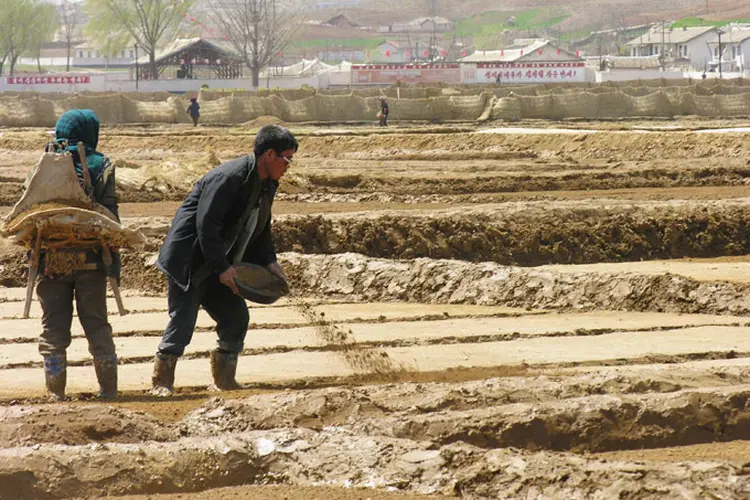 Coreia do Norte enfrenta pior seca  (./Getty Images)