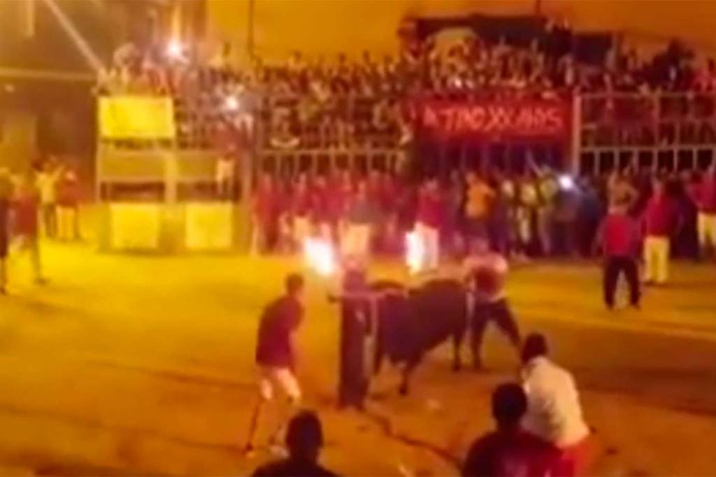 Com chifres em chamas, touro "se suicida" em festival na Espanha