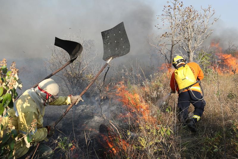 Bombeiros mapeiam Parque Nacional de Brasília após incêndio
