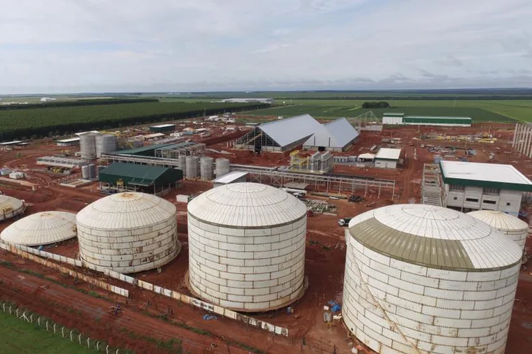 FS Bioenergia: usina ainda terá potencial para produzir anualmente até 186 mil toneladas de farelo de milho (FS Bioenergia / Facebook/Reprodução)