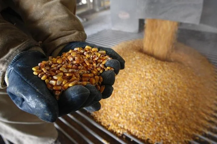 Commodities: queda registrada em dezembro foi diretamente influenciada pela retração no segmento agropecuário (Mark Blinch/Reuters)
