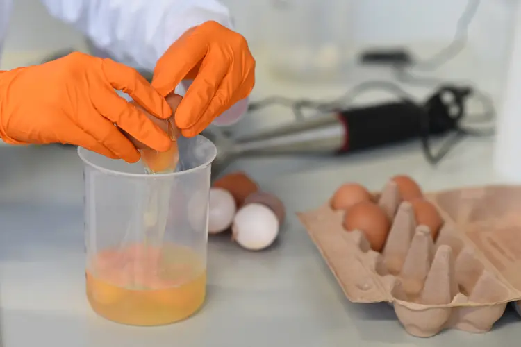 Contaminação de ovos na Europa: Holanda negou que tenha sido negligente em caso de contaminação (Andreas Gebert/Reuters)