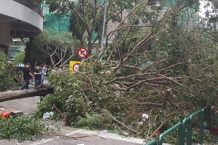 Tufão Hato: fortes ventos foram devastadores na cidade de Macau (INSTAGRAM@MIKEWANDERING via REUTERS/Reuters)