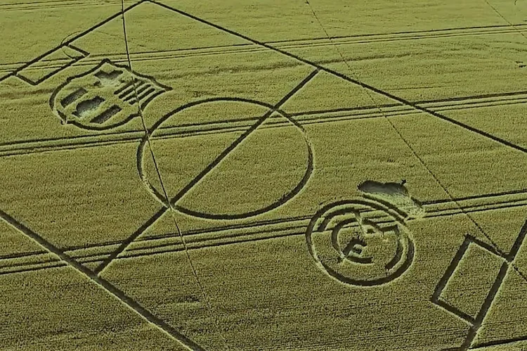 Quem passou por Itaberá, município do sul paulista, pôde ver marcações diferentes na plantação de trigo de uma fazenda local (Foto/Reprodução)