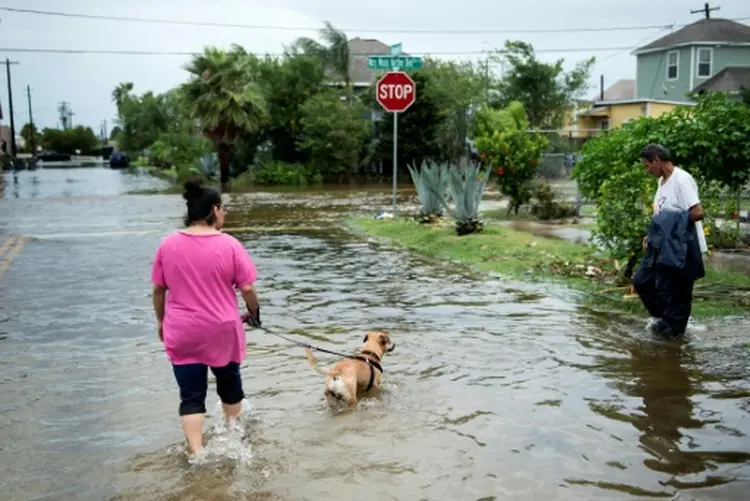 Mulher caminha com seu cão em meio aos estragos deixados por Harvey (Brendan Smialowski/AFP)