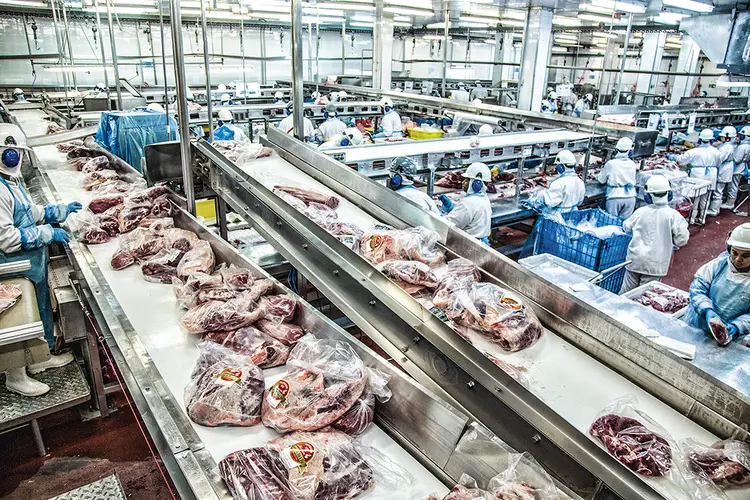 Minerva: companhia é a maior exportadora de carne da América do Sul (Ricardo Benichio/Exame)