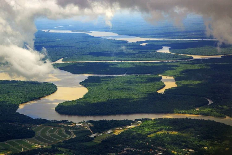 Floresta ameaçada: levantamento mostra pressão de mineradoras (foto/Getty Images)