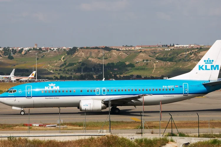 Cachorro: quase morreu devido ao tempo em que esteve exposto ao sol dentro da aeronave, segundo sua dona (foto/Wikimedia Commons)