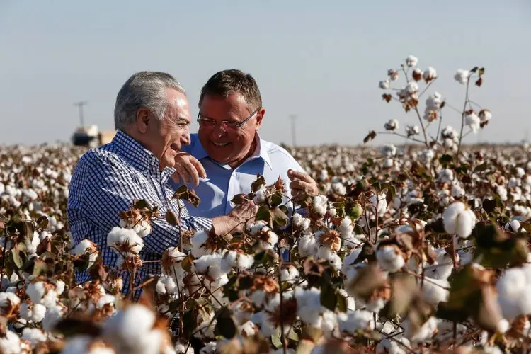 Temer e Blairo: o presidente e o ministro participaram da colheita de algodão no Mato Grosso (Alan Santos/ PR/Divulgação)