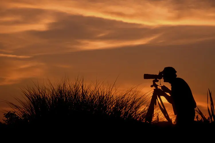 Fotografia: premiação da National Geographic teve fotos incríveis da natureza (Reprodução/Thinkstock)